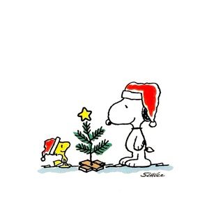 🎄Christmas shopping 🎄